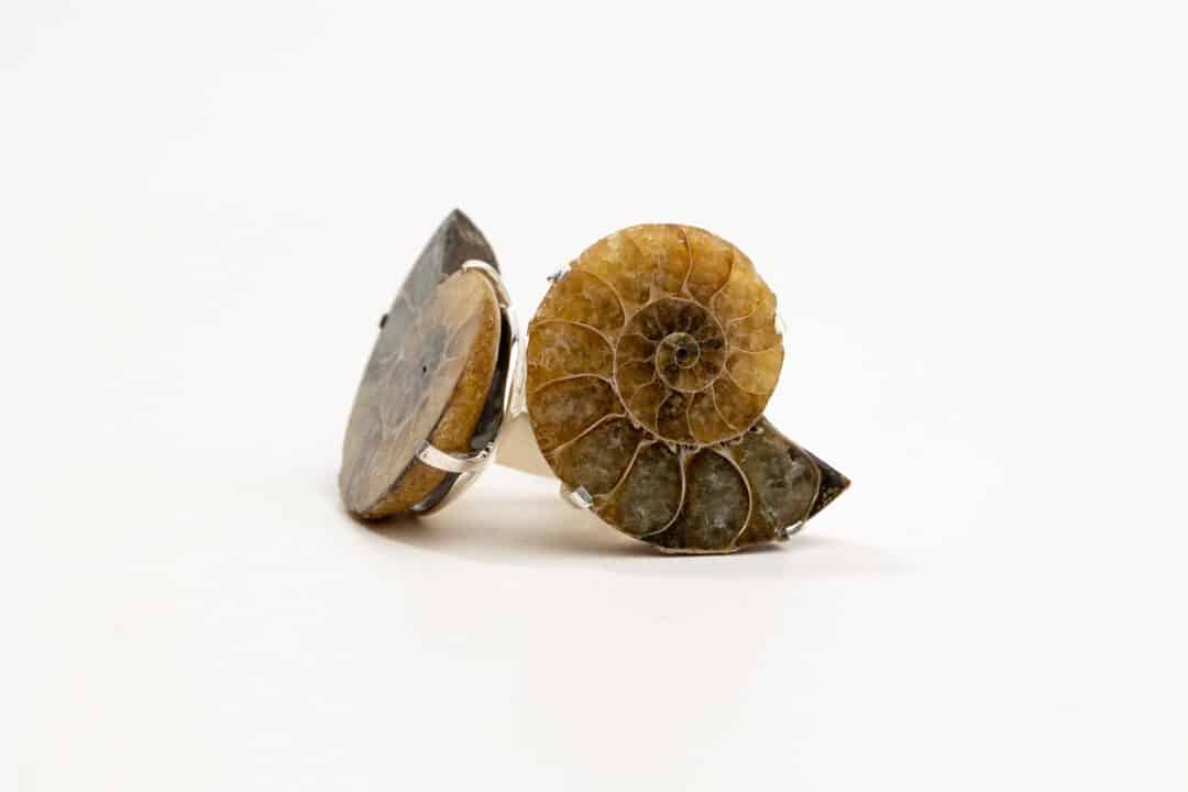 Madagascar Ammonite Cufflinks