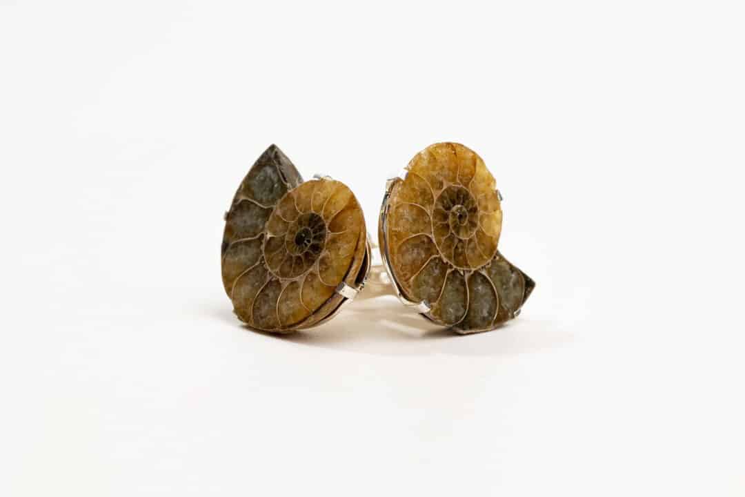 Madagascar Ammonite Cufflinks