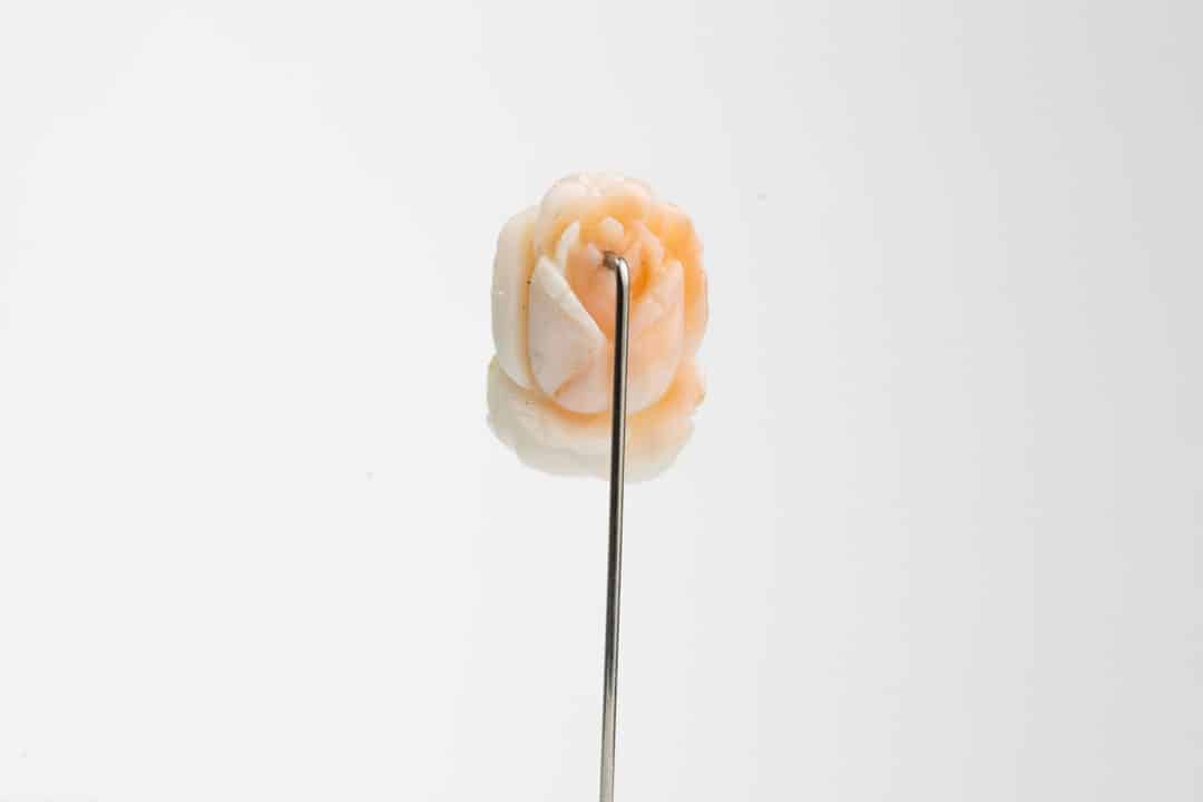 Handcarved Coral Rose Lapel Pin